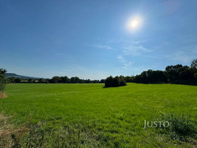 Prodej zahrady 299 m²