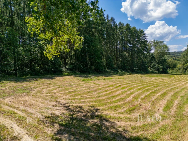 Prodej chalupy 90 m² s pozemkem 6767 m²