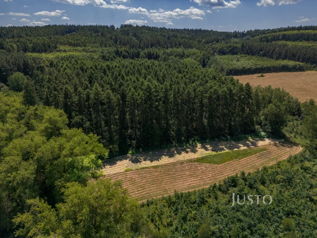 Prodej chalupy 90 m² s pozemkem 6767 m²