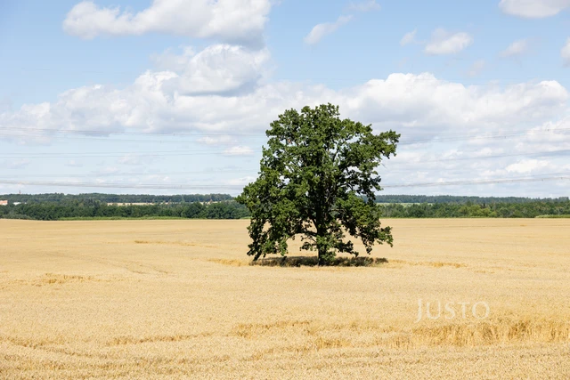 Prodej 5+kk 124 m² + zahrada 286 m² + terasa 13 m² + parkování