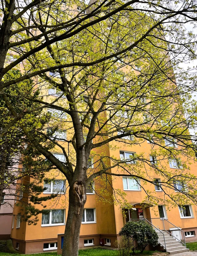 Prodej 1+1 39 m² – fotografie 8