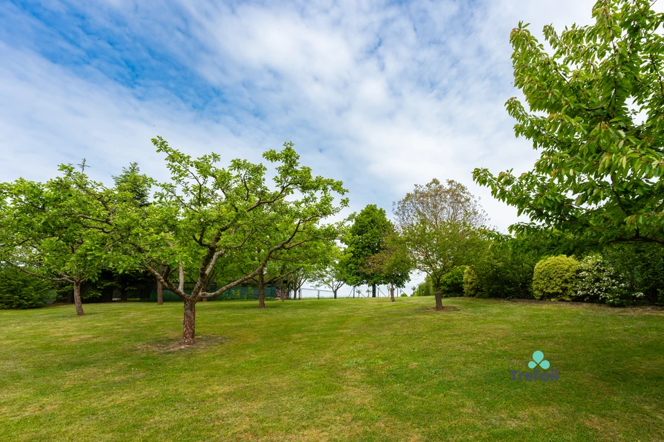 Prodej jedinečné venkovské usedlosti s pozemkem 4 816 m² – Neveklovice, okres Mladá Boleslav – fotografie 7