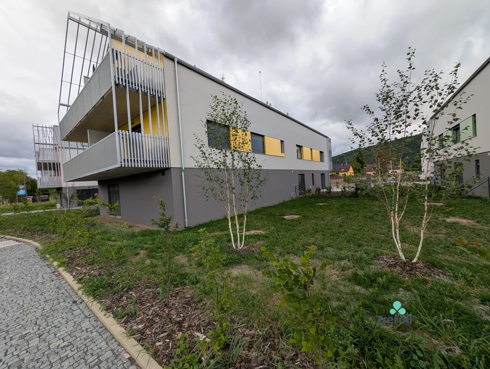 Pronájem 1+kk 40 m² + zahrada 46 m² + parkování + sklep – fotografie 7