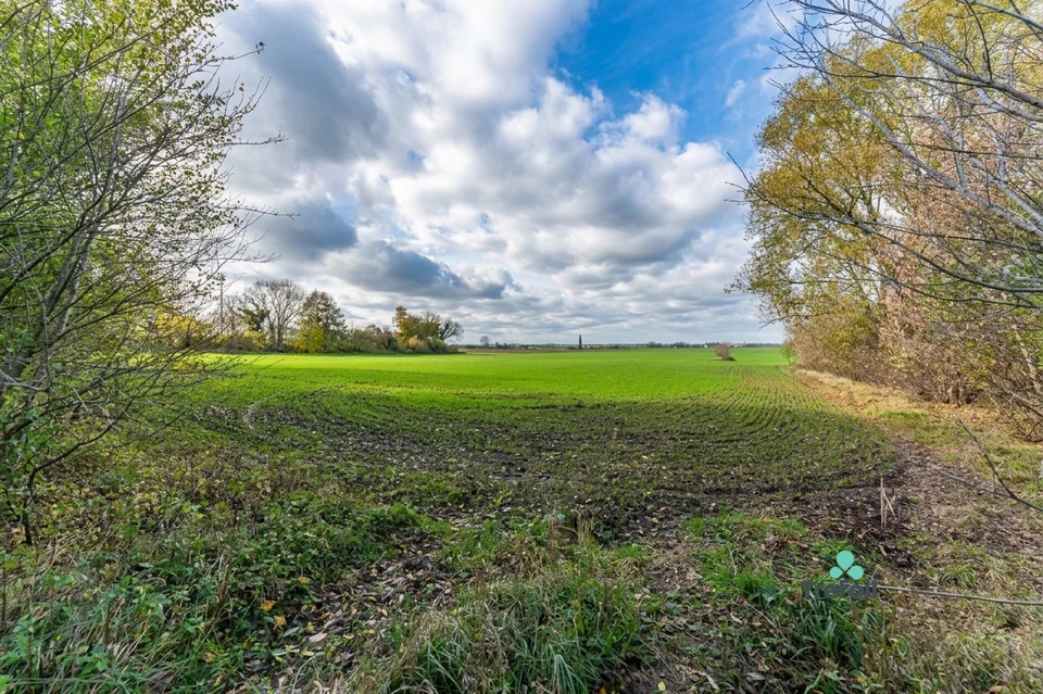Prodej komerčního pozemku 24 162 m², Libenice, u silnice I/38 – fotografie 3