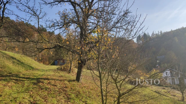 Prodej chaty 64 m² s pozemkem 5242 m²