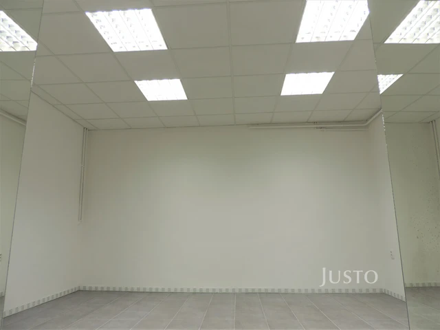 Pronájem obchodních prostor 56 m²