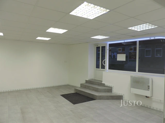 Pronájem obchodních prostor 56 m²