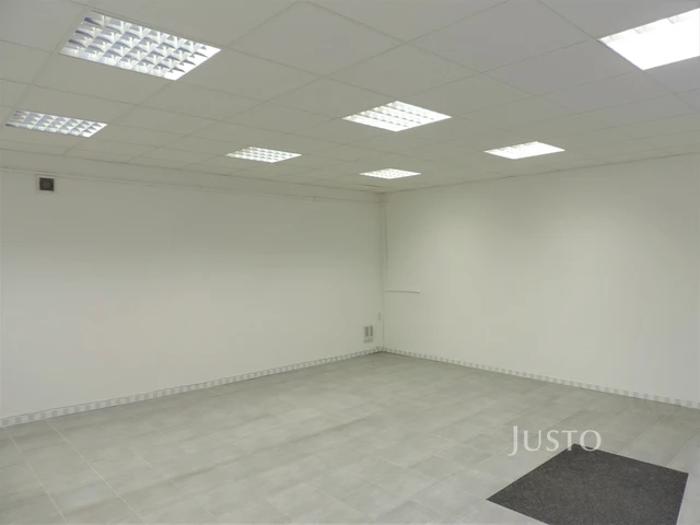 Pronájem obchodních prostor 56 m²