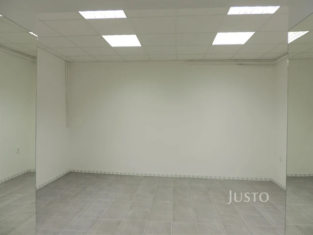 Pronájem obchodních prostor 56 m²