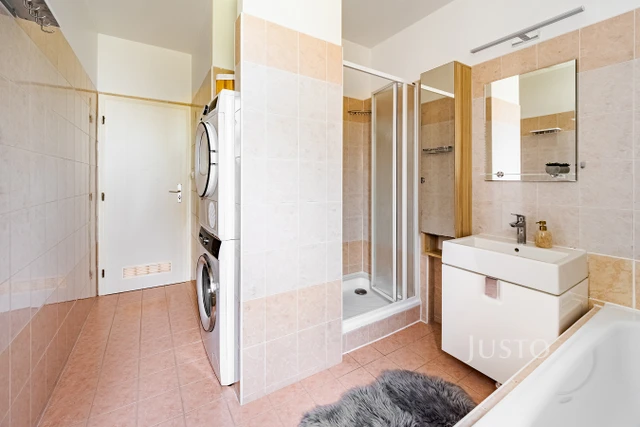 Prodej družstevního 3+1, 77 m², České Budějovice