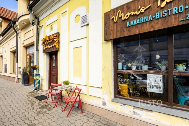 Pronájem 3+kk(+L+K), Vašatova, Kladno