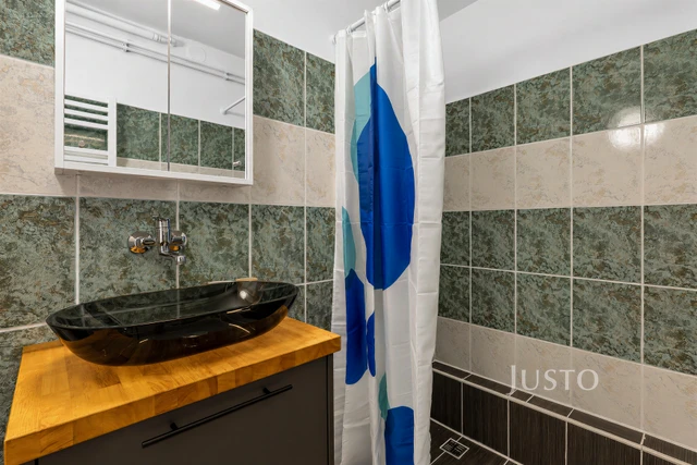 Pronájem 1+1 49 m²