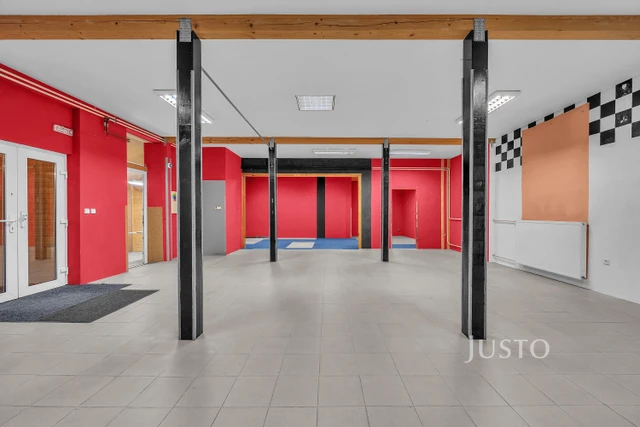 Pronájem obchodních prostor 170 m²