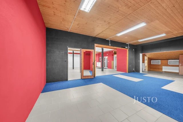 Pronájem obchodních prostor 170 m²