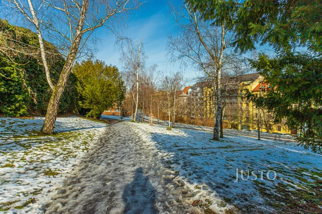 Pronájem 2+kk, 40 m², Krokova, Praha 2 - Nusle