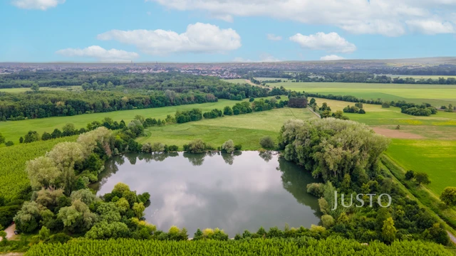 Prodej louky 11843 m²