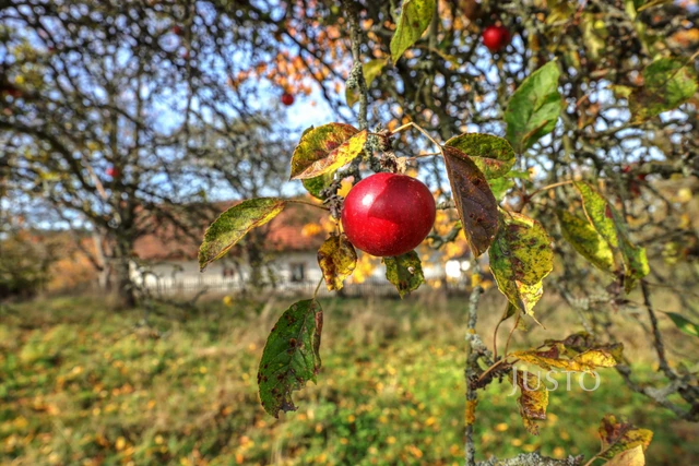 Prodej pozemku 1087 m²