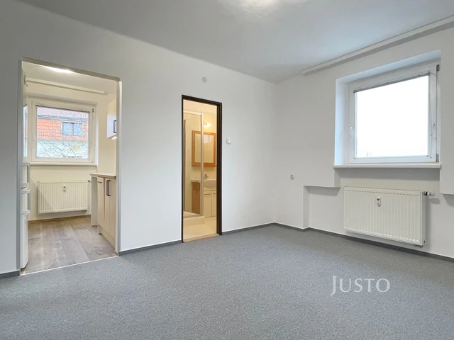Pronájem 3+1 66 m²