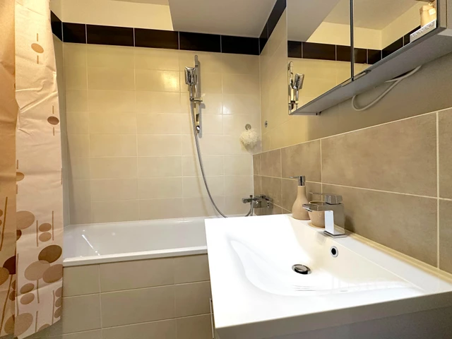 Pronájem 2+kk 55 m² + balkón 8 m² + parkování
