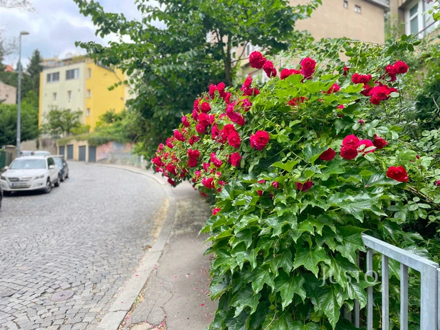 Prodej 1+1 50 m²