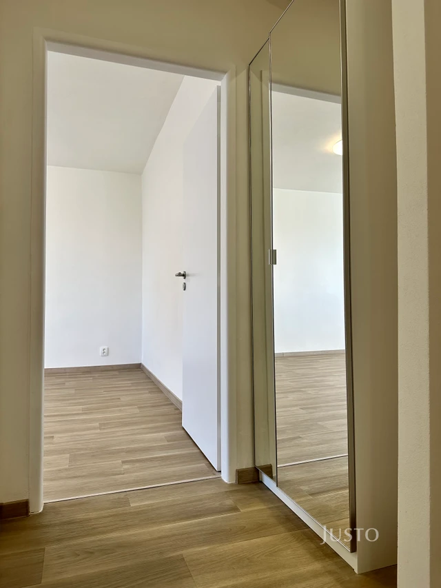 Pronájem 2+1 56 m² + balkón 1,6 m²