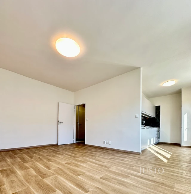 Pronájem 2+1 56 m² + balkón 1,6 m²