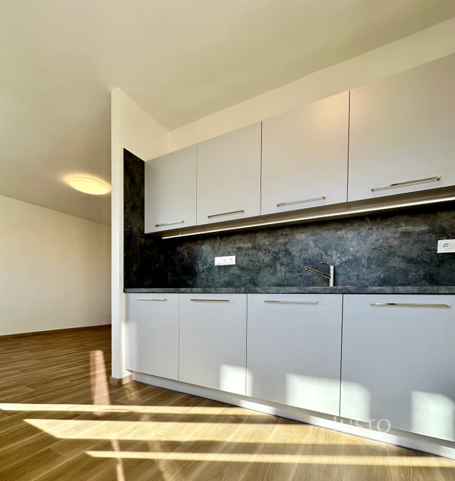 Pronájem 2+1 56 m² + balkón 1,6 m²