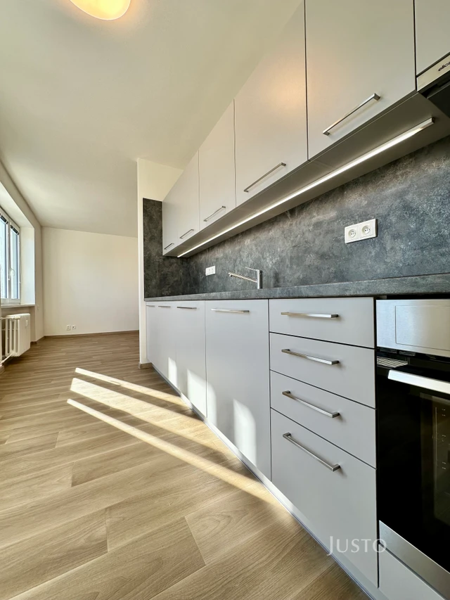 Pronájem 2+1 56 m² + balkón 1,6 m²