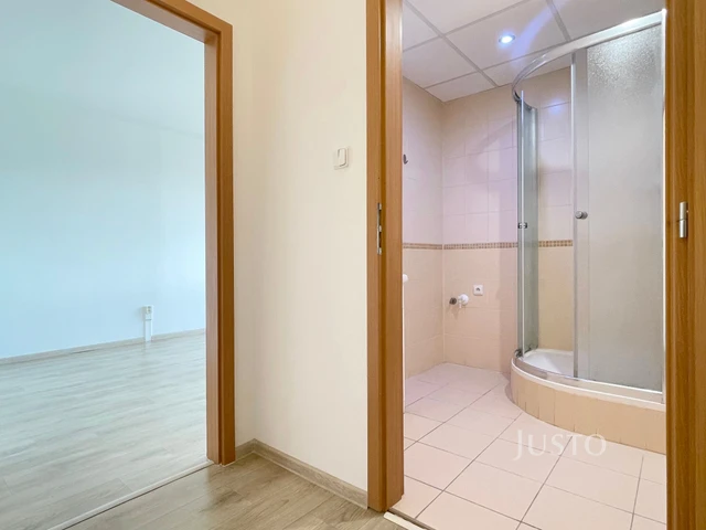 Pronájem 1+1 39 m² + lodžie 6 m²