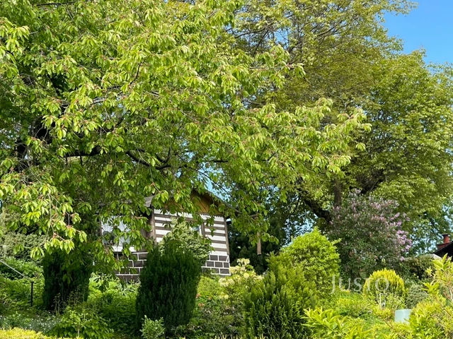 Prodej chaty 12 m² s pozemkem 400 m²