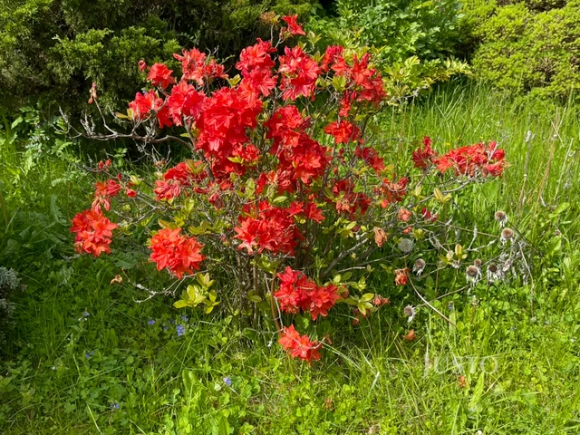 Prodej chaty 12 m² s pozemkem 400 m²