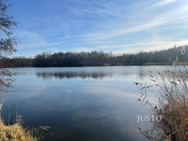 Prodej chaty 55 m² s pozemkem 331 m² + terasa 4 m²