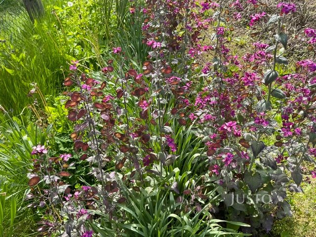 Prodej chaty 12 m² s pozemkem 400 m²