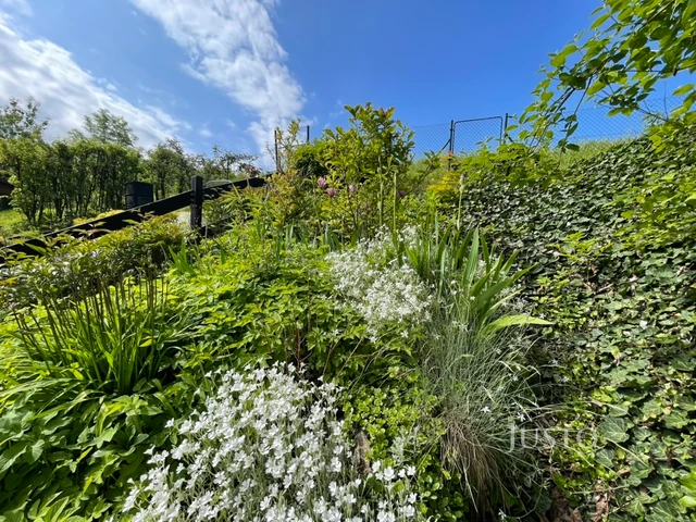 Prodej chaty 12 m² s pozemkem 400 m²