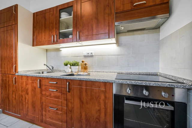 Prodej 1+1 46 m² + garáž