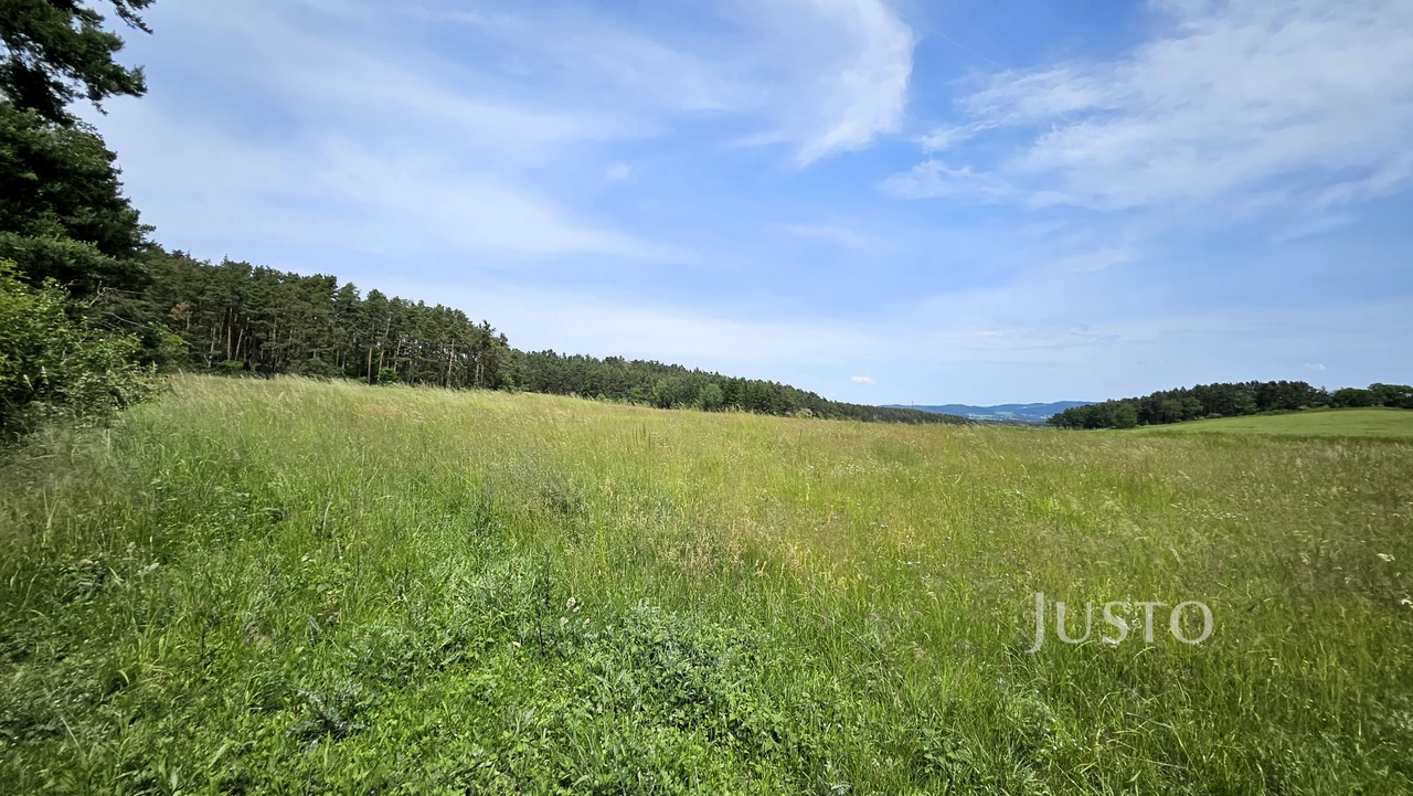 Prodej pozemku 8980 m²