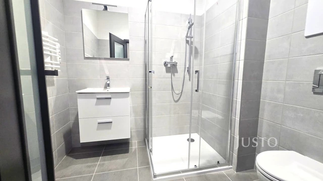 Pronájem 1+kk 40 m² + parkování, Písek - Vladislavova