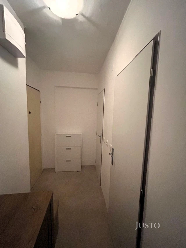 Pronájem 1+1, 36 m², Dr. M. Horákové - Písek
