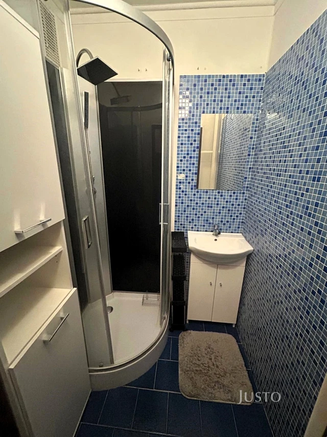 Pronájem 1+1, 36 m², Dr. M. Horákové - Písek