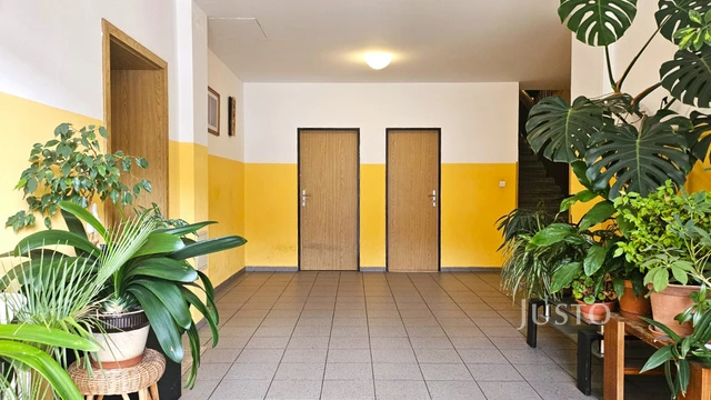 Pronájem 2+kk 46 m² + lodžie + balkón, Písek - Zátavské nábřeží