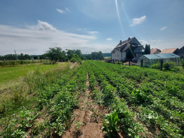 Prodej pozemku 2918 m²