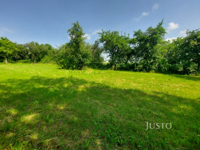 Prodej pozemku 2918 m²