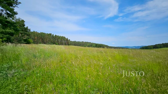 Prodej pozemku 8980 m²