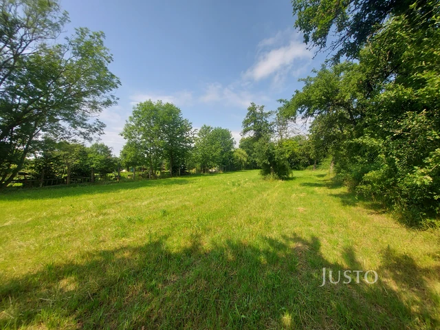 Prodej pozemku 2918 m²