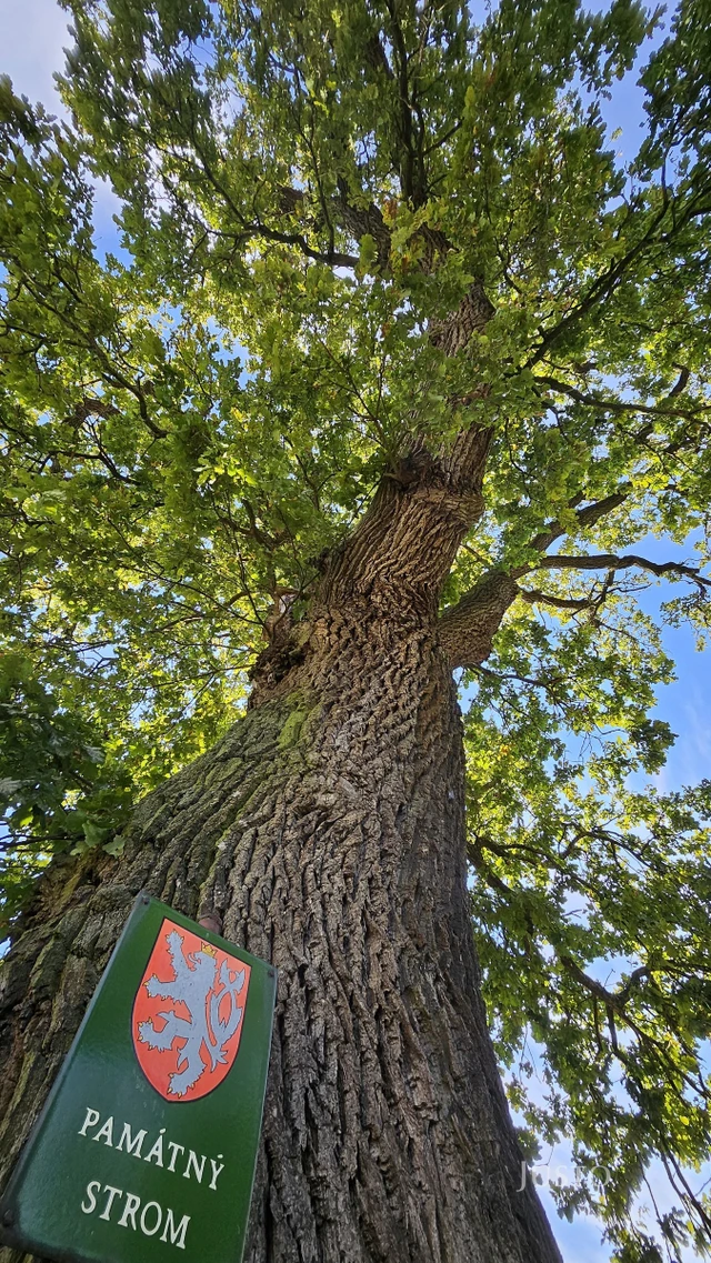 Prodej rodinného domu 243 m² s pozemkem 1633 m²