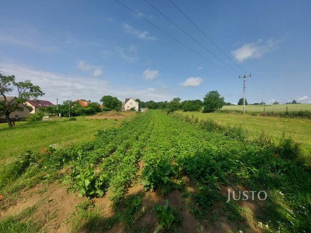 Prodej pozemku 2918 m²